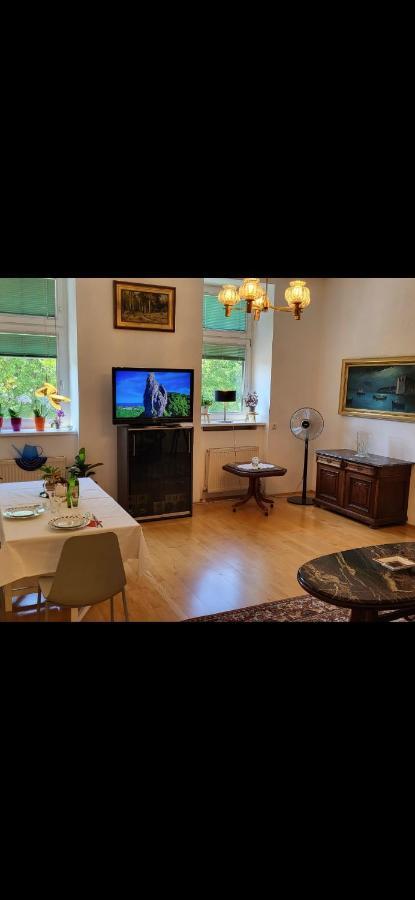 Apartmán Schoene Altbauwohnung Zentrum Brigittenauer Laende 32 Vídeň