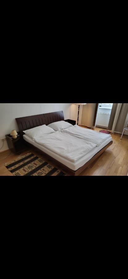 Apartmán Schoene Altbauwohnung Zentrum Brigittenauer Laende 32 Vídeň