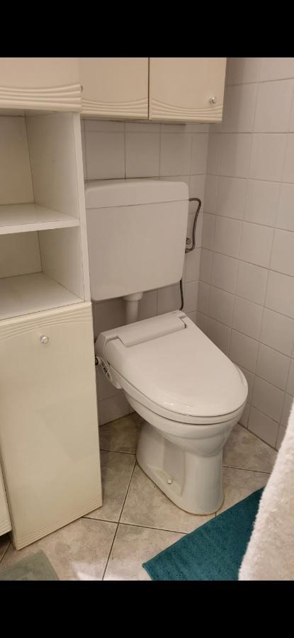 Schoene Altbauwohnung Wien Zentrum Brigittenauer Laende 32 Appartamento Vienna